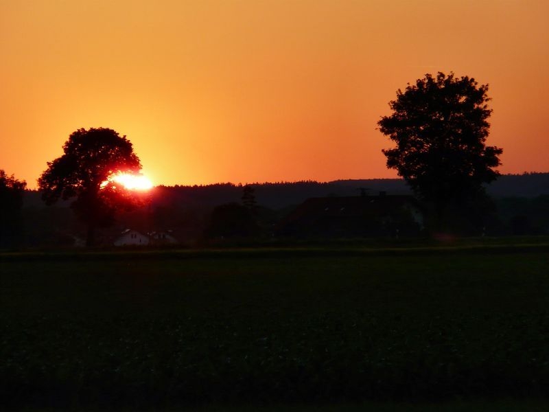 20090613-210421