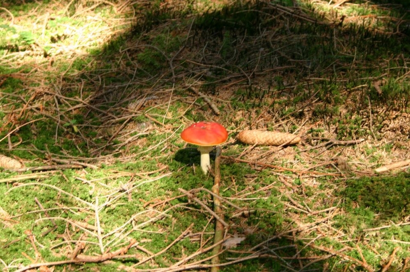 20120918-140211