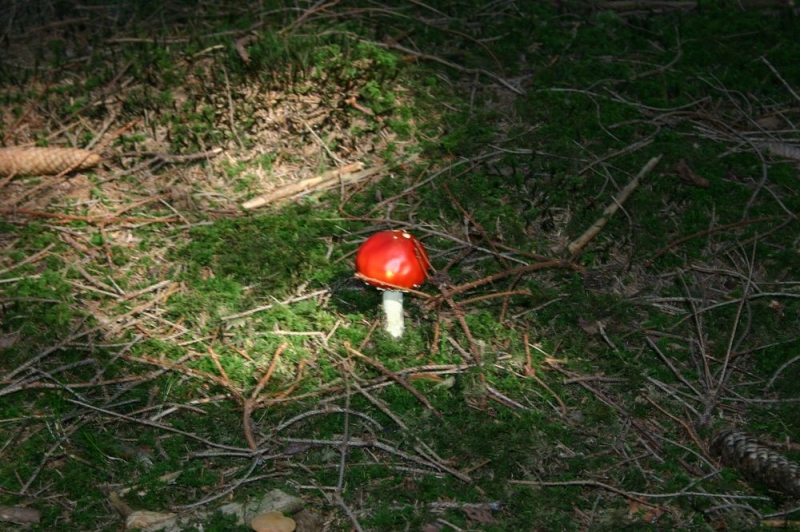 20120918-140220